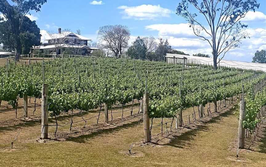 The Overflow Estate 1895, Wineries in Wyaralong