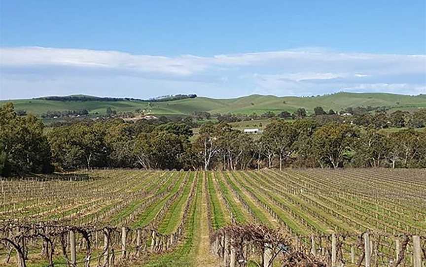 Jenke Vineyards, Wineries in Rowland Flat