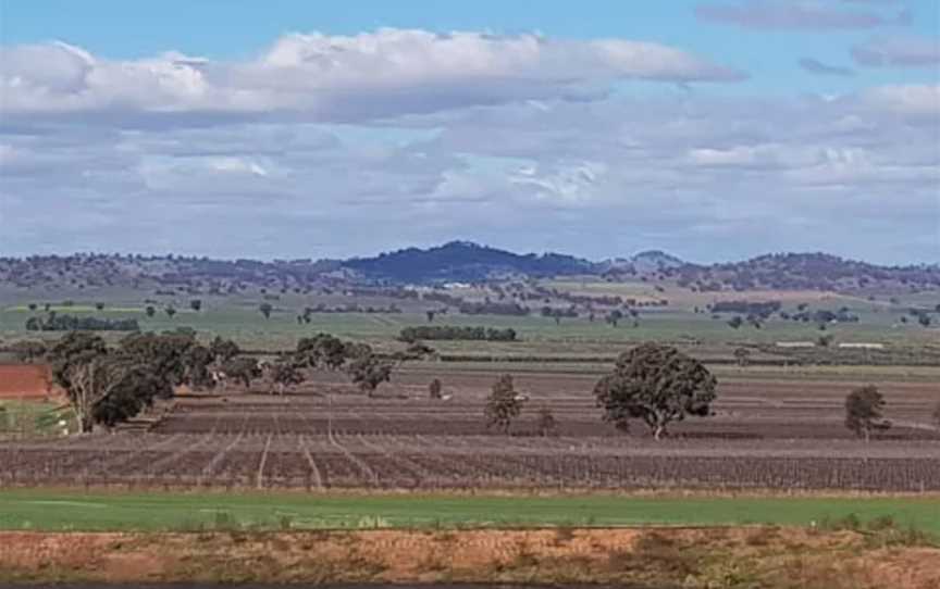 Windowrie Estate, Wineries in Canowindra