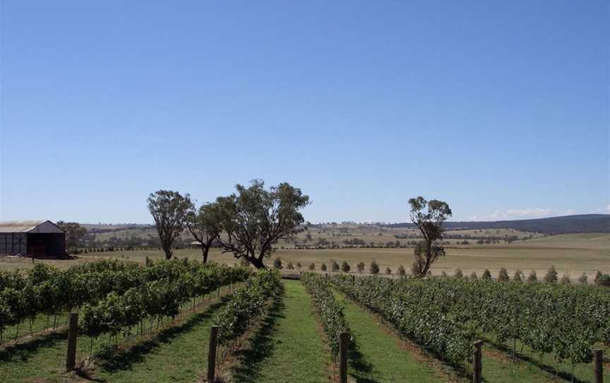 Trandari Wines, Wineries in Murringo