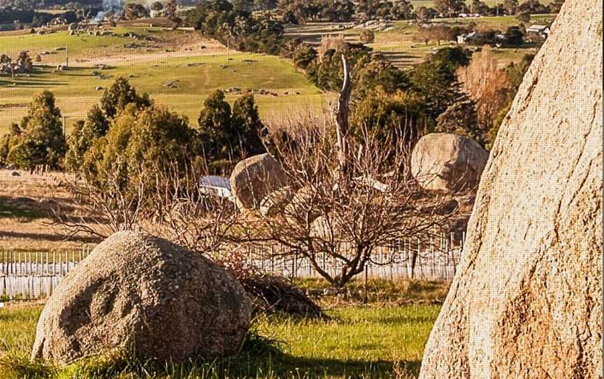 Syrahmi, Wineries in Tooborac