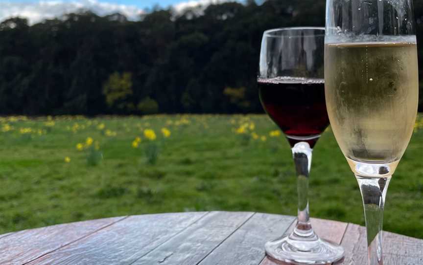 Enjoying a glass admiring the daffodils in August