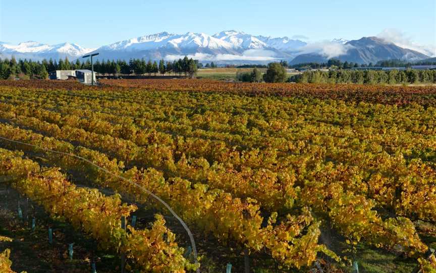 Aitken's Folly, Wanaka, New Zealand