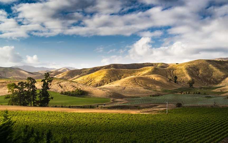 Auntsfield Estate, Blenheim, New Zealand