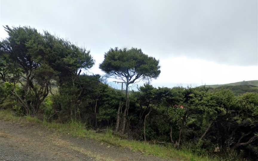 Barrelled Wines Raglan, Raglan, New Zealand