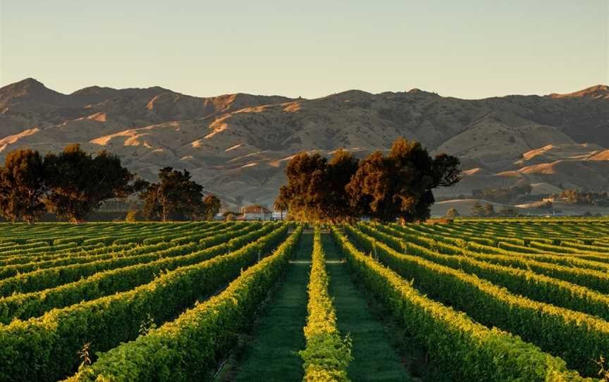 Caythorpe, Springlands, New Zealand