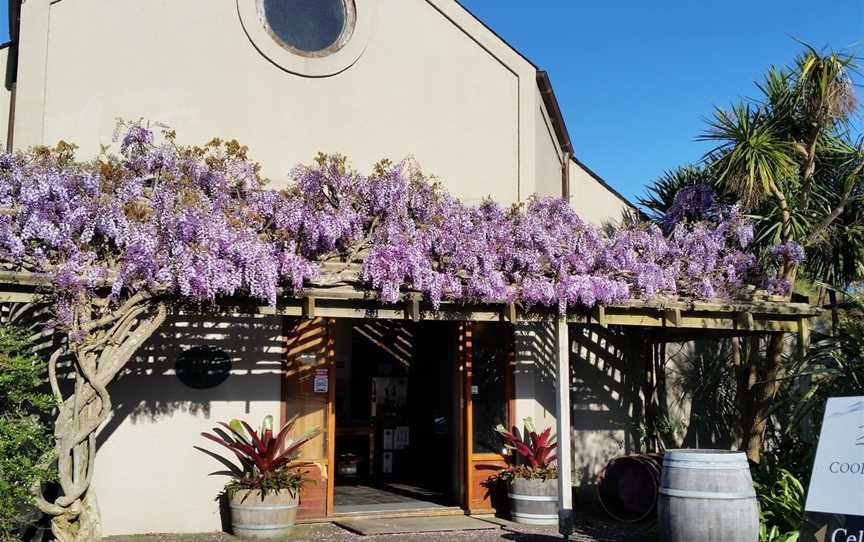 Coopers Creek Vineyard, Kumeu, New Zealand