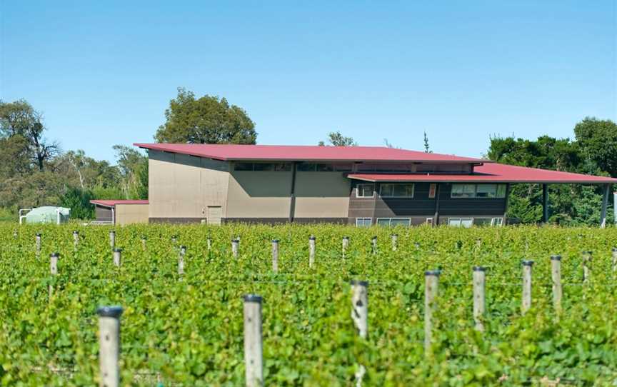 Gladstone Vineyard, Gladstone, New Zealand