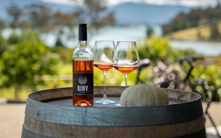 Kina Beach Vineyard, Tasman, New Zealand