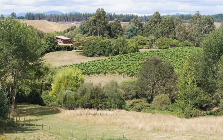 Kindeli by Alex Craighead, Upper Moutere, New Zealand