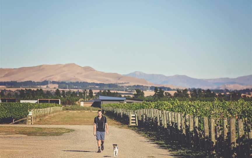 Mount Brown Estates, Amberley, New Zealand