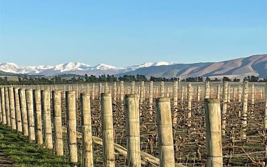 Mount Brown Estates, Amberley, New Zealand