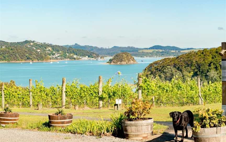 Omata Estate, Bay of Islands, New Zealand