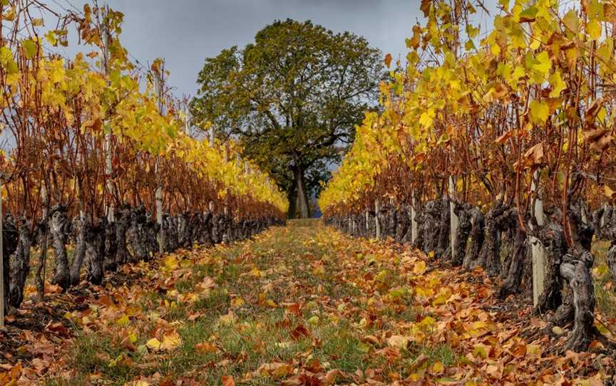 Riverby Estate, Blenheim, New Zealand