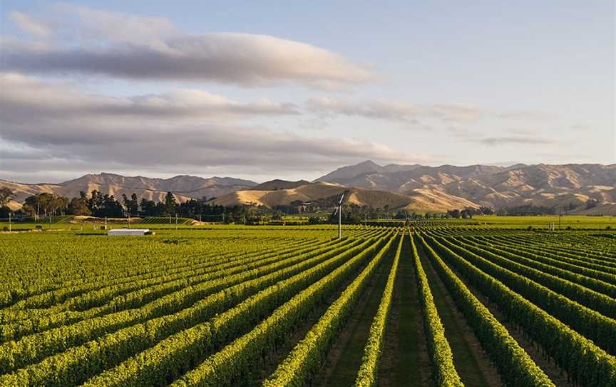 Rusty Bell, Blenheim, New Zealand