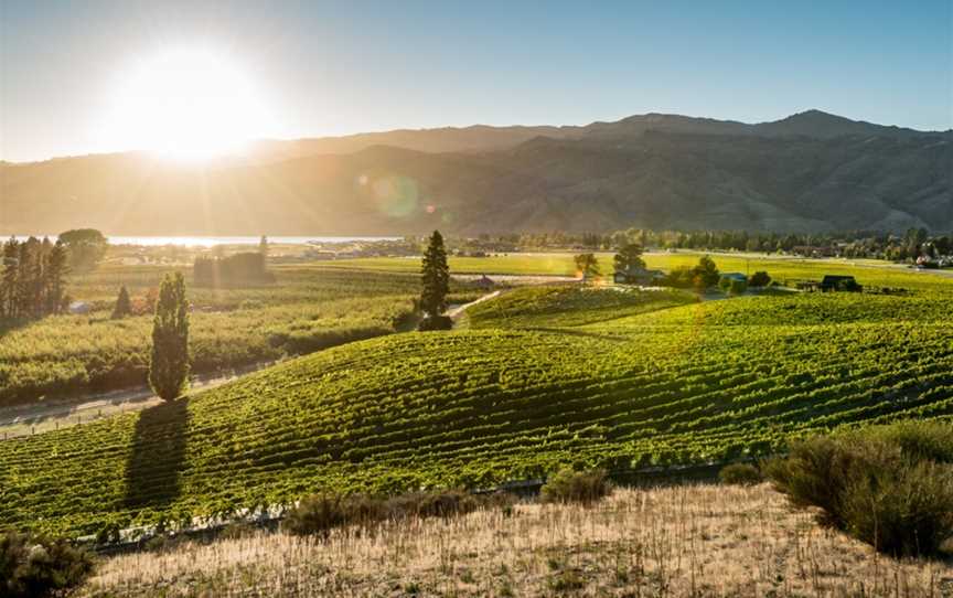 Scott Base Vineyard, Cromwell, New Zealand