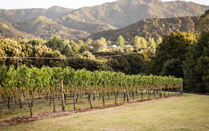 Te Whai Bay Wines, Mangawhai, New Zealand