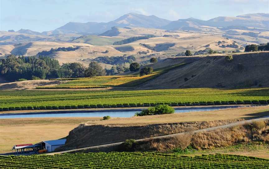 The Elder Pinot, Martinborough, New Zealand