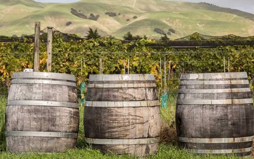 Big Sky, Martinborough, New Zealand