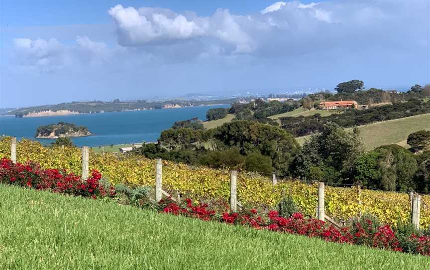 Cable Bay Vineyards, Oneroa, New Zealand