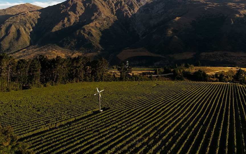 Coal Pit Vineyard, Gibbston, New Zealand