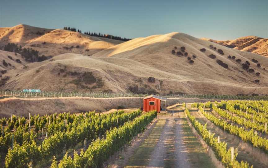 Loveblock, Lower Dashwood, New Zealand