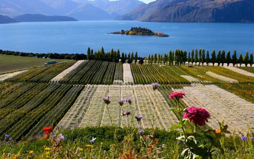 Rippon, Wanaka, New Zealand