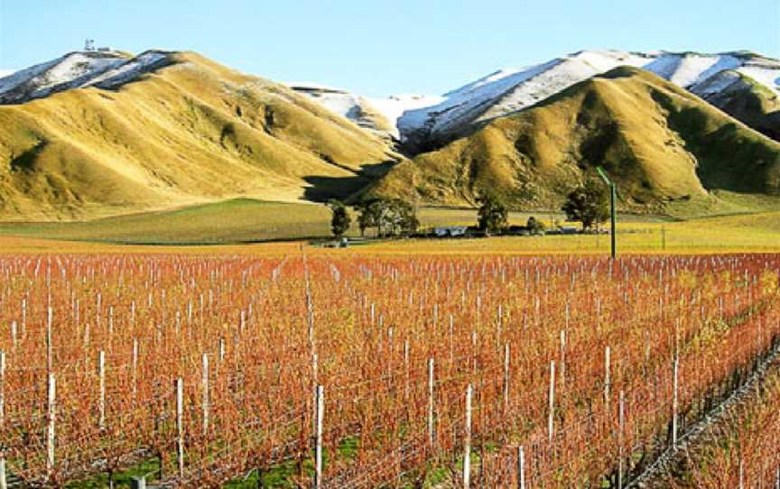 Stanley Estates, Lower Dashwood, New Zealand