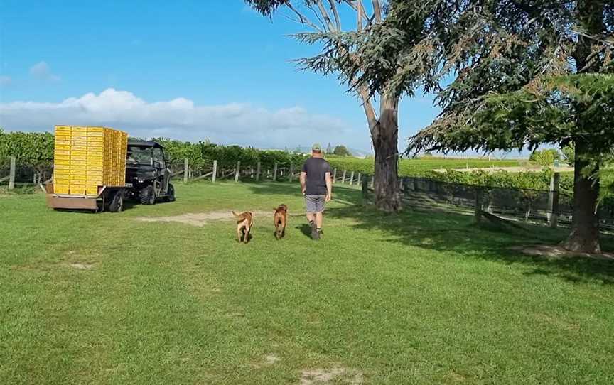 Te Whare Ra (TWR) Wines, Renwick, New Zealand