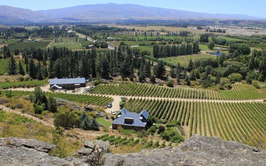 Black Ridge,Black Ridge Vineyard, Earnscleugh, New Zealand