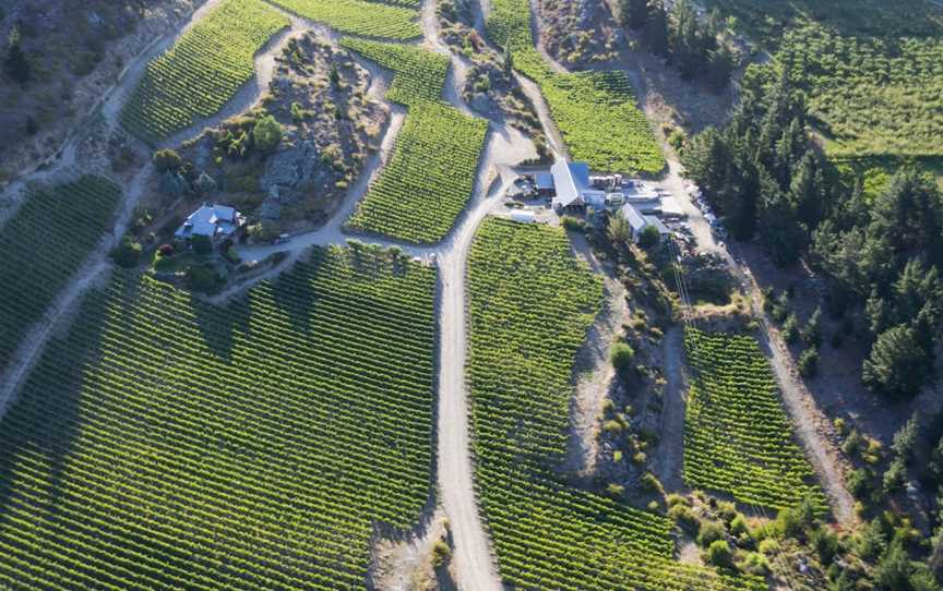 Black Ridge,Black Ridge Vineyard, Earnscleugh, New Zealand