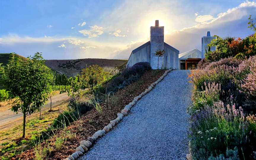 Domaine Thomson Wines, Cromwell, New Zealand