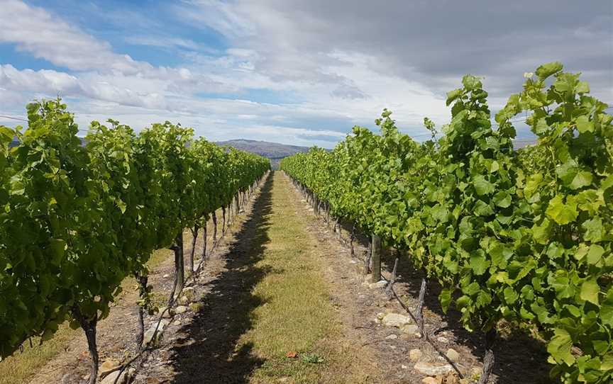 Matt Connell Wines, Cromwell, New Zealand