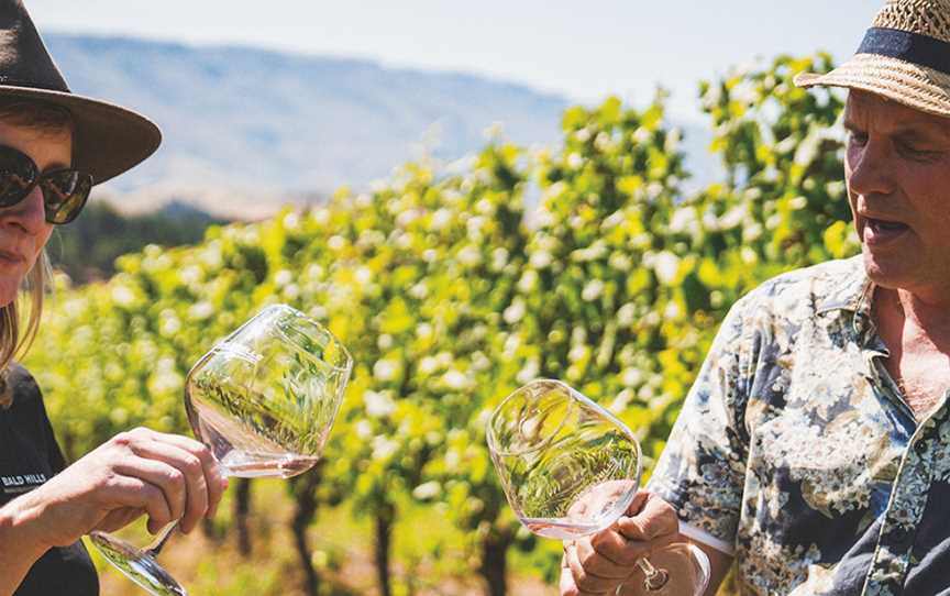 BALD HILLS,Bald Hills Cellar Door, Gibbston, New Zealand