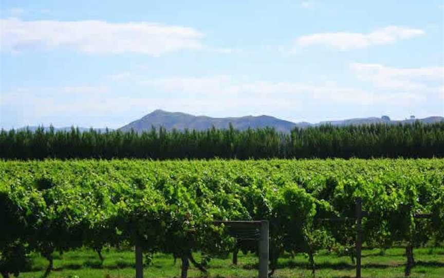 Poverty Bay Wine Estate Ltd (CLOSED), Wineries in Matawhero