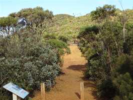 Central Lookout