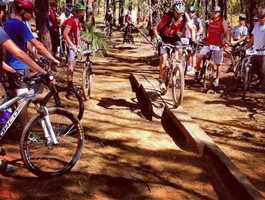 Kalamunda Mountain Bike Trails