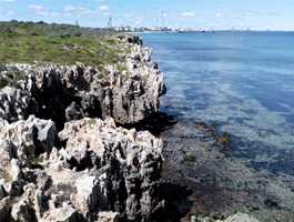 Henderson Foreshore