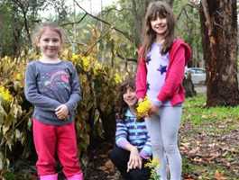 Perth Hills Discovery Centre  Campground