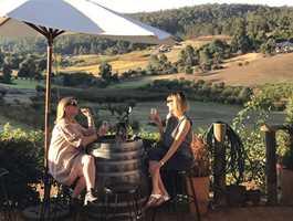 Bickley Valley Wine, Gin and Cider Tour 