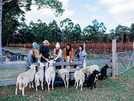 Farm and Feast Tour