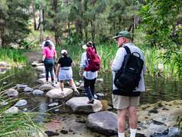 Wallaroo Station & Carnarvon Gorge Air Safari