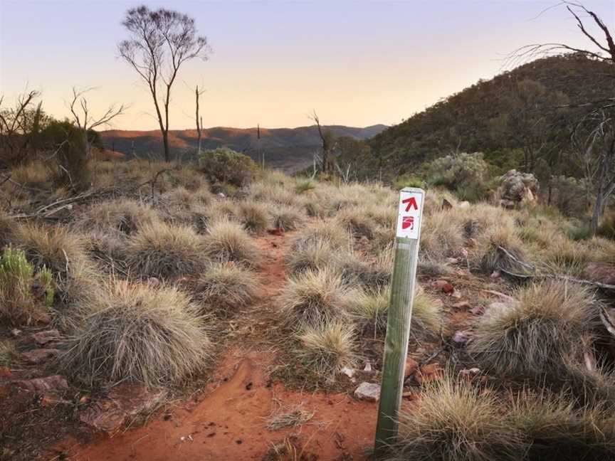 Pichi Richi Park, Quorn, SA