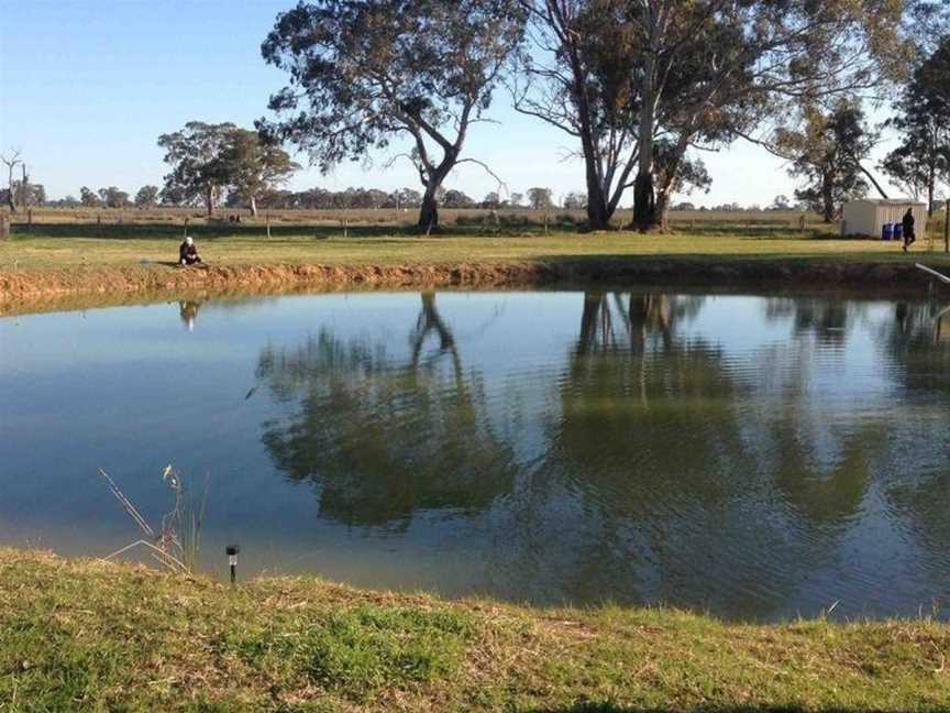 Coonawarra Bush Holiday Park, Glenroy, SA