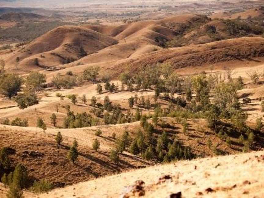 Arkaba, Flinders Ranges, SA