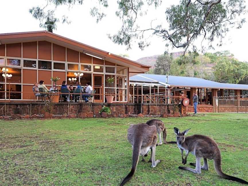 Ikara Safari Camp, Flinders Ranges, SA