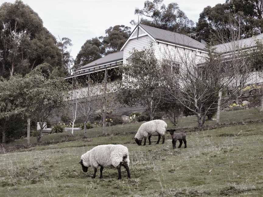 House on the Hill Bed and Breakfast, Huonville, TAS