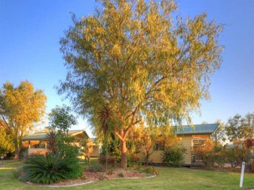 Pepper Tree Cabins, Kingaroy, QLD