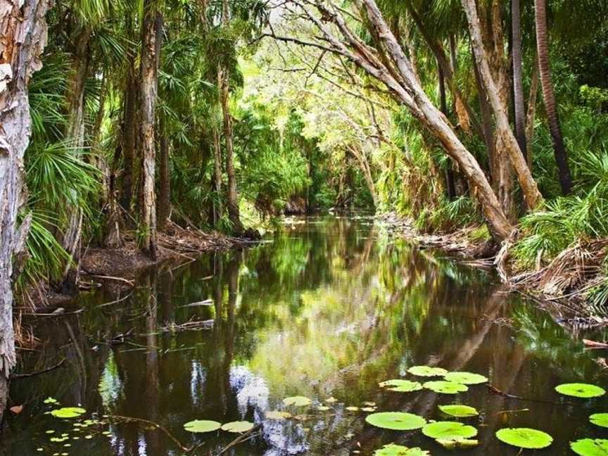 Breakaway, Agnes Water, QLD