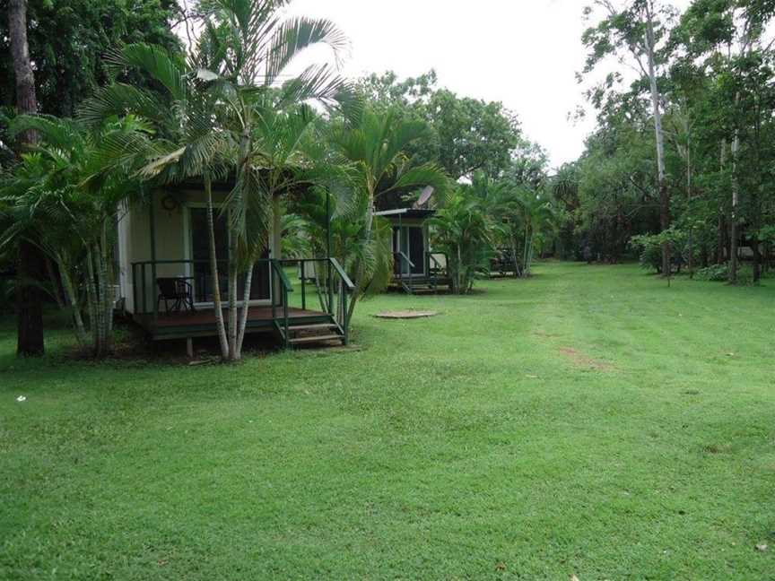 Pandanus on Litchfield, Rum Jungle, NT